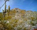 photo thumbnail #6