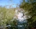 photo thumbnail #7