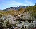 photo thumbnail #9