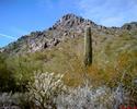 photo thumbnail #11