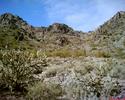 photo thumbnail #13