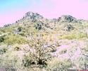 photo thumbnail #14