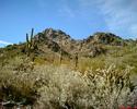 photo thumbnail #15