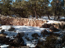 photo thumbnail #12