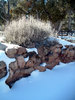 photo thumbnail #13