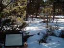 photo thumbnail #14