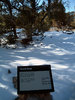 photo thumbnail #15