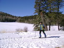 photo thumbnail #8