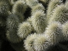 photo thumbnail #14