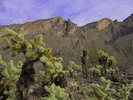photo thumbnail #4
