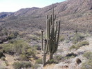photo thumbnail #6