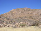 photo thumbnail #8