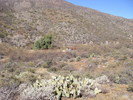 photo thumbnail #10