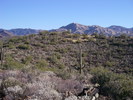 photo thumbnail #13