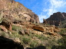 photo thumbnail #5