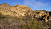 photo thumbnail #3