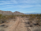 photo thumbnail #2