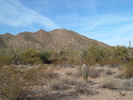 photo thumbnail #3