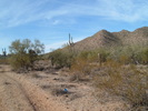 photo thumbnail #4