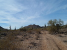 photo thumbnail #5