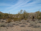 photo thumbnail #6
