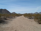photo thumbnail #14