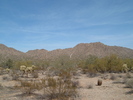 photo thumbnail #15