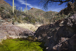 photo thumbnail #5
