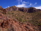 photo thumbnail #2