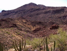 photo thumbnail #5