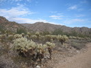 photo thumbnail #1