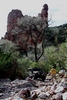 photo thumbnail #6