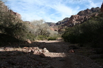 photo thumbnail #7