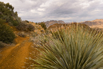photo thumbnail #4