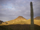 photo thumbnail #2