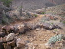 photo thumbnail #10