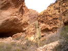 photo thumbnail #8