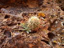 photo thumbnail #10