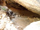 photo thumbnail #12