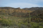 photo thumbnail #2