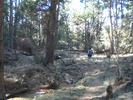 photo thumbnail #5