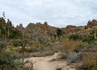 photo thumbnail #3