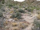 photo thumbnail #4