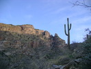 photo thumbnail #1
