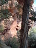photo thumbnail #9