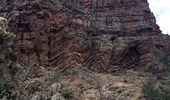 photo thumbnail #3