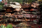 photo thumbnail #8
