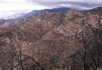 photo thumbnail #4