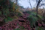 photo thumbnail #3