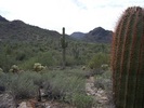 photo thumbnail #2